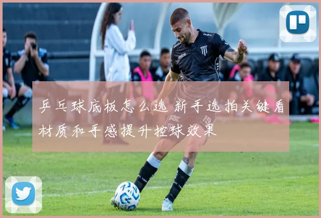 乒乓球底板怎么选 新手选拍关键看材质和手感提升控球效果