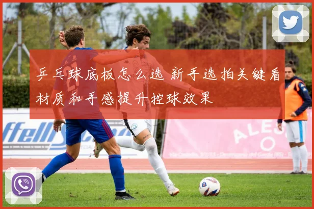 乒乓球底板怎么选 新手选拍关键看材质和手感提升控球效果