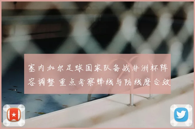 塞内加尔足球国家队备战非洲杯阵容调整 重点考察锋线与防线磨合效果